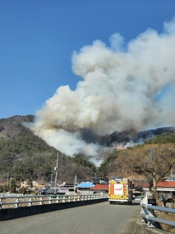 메인사진