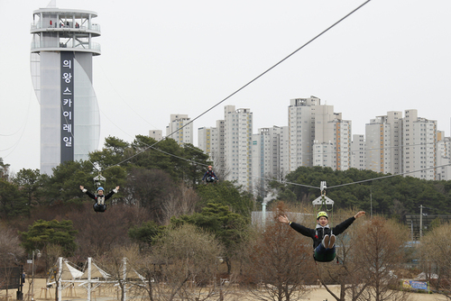 메인사진