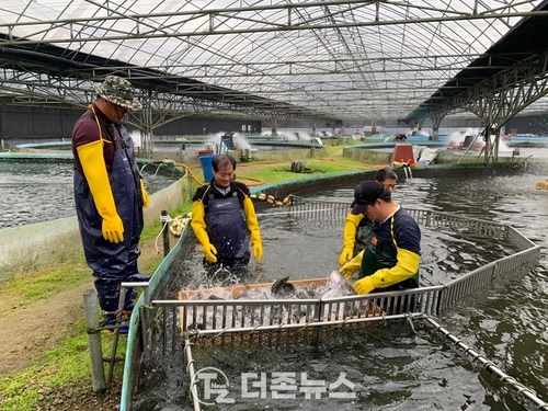 메인사진