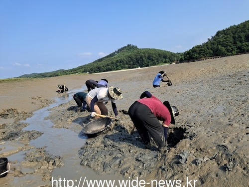 메인사진