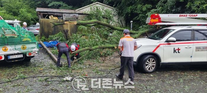 본문이미지