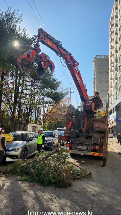 메인사진